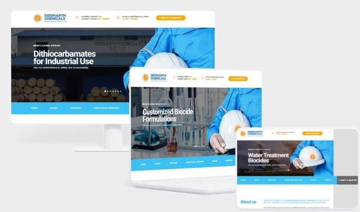 web development goa